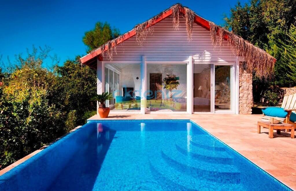 VİLLA TEMİZLİĞİ